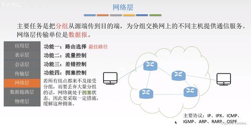 計(jì)算機(jī)網(wǎng)絡(luò)基礎(chǔ)與信息網(wǎng)絡(luò)設(shè)計(jì)