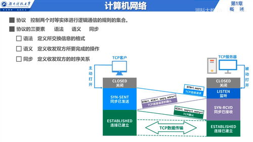 計(jì)算機(jī)信息網(wǎng)絡(luò)的設(shè)計(jì) 從概述到體系結(jié)構(gòu)解析